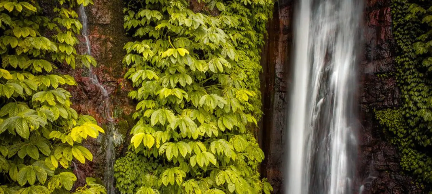 DÉCOUVRIR MUNDUK | UN BALI AUTHENTIQUE AU COEUR DE LA NATURE ! 